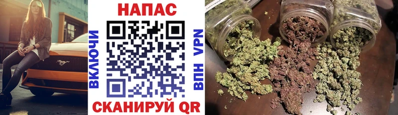 Где продают наркотики Пустошка НБОМе  МЕФ  АМФ  Гашиш  Кокаин  Бошки Шишки  Метамфетамин 