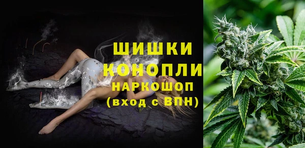 гашик Армянск