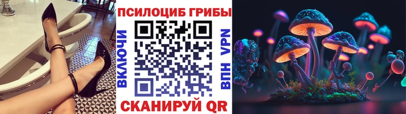 Галлюциногенные грибы Psilocybe  магазин    Пустошка 